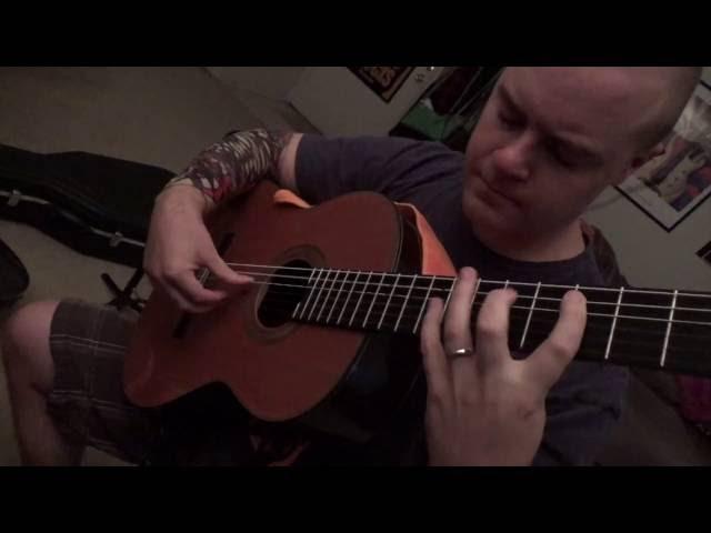 Floods Outro Cover on Classical Guitar