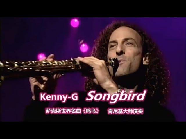 萨克斯世界名曲《Songbird》（鸣鸟），肯尼基演奏，美妙无比！