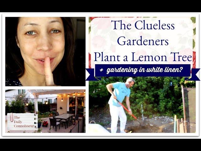 The Clueless Gardeners Plant a Lemon Tree