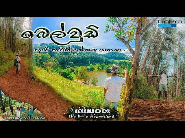 Bellwood| Sri Lanka |බෙල්වූඩ් පුංචි නවසීලන්තයට...|Vlog 5