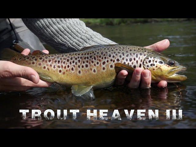 Trout Heaven III - The Final Chapter