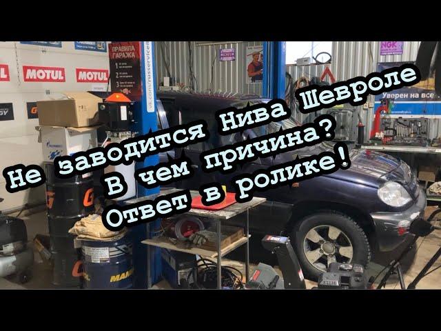 Не заводится Нива Шевроле в чем причина? Ответ в ролике!