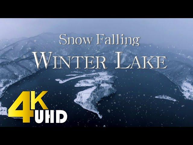 [4k video] Korean natural scenery / Winter snow travel / Healing video / Beautiful nature video