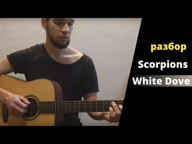 Как играть? Scorpions - White Dove [Уроки игры на гитаре] [Guitar lesson]