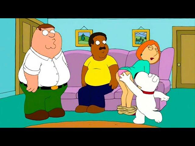 Family Guy Season 4 Episode 5 Full - Family Guy New 2023 Nocuts 1080p 