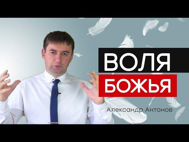 Что не является волей Божьей? | Проповедь Александр Антонов