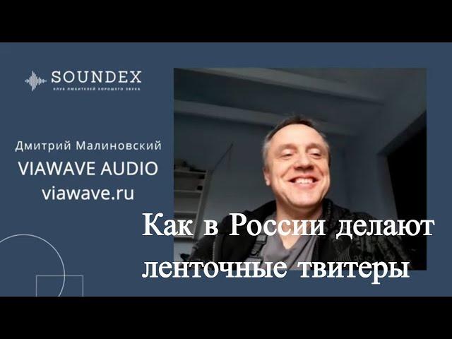 Как в России производят  ВЧ-динамики для АС. Дмитрий Малиновский - VIAWAVE AUDIO #soundex_interview