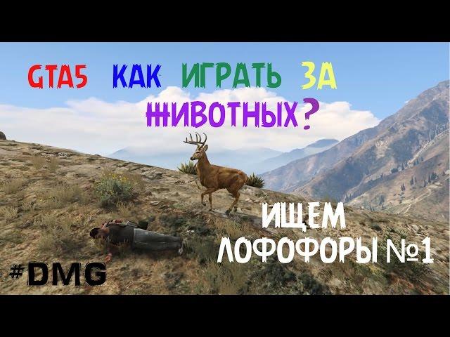 GTA5 КАК ИГРАТЬ ЗА ЖИВОТНЫХ? (ЛОФОФОРЫ) №1