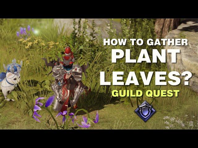 Lost Ark Guild Quest How to Gather Plant Leaves?