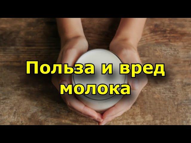 Польза и вред молока. Состав коровьего молока