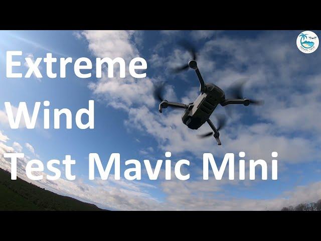 DJI Mavic Mini Hurricane Test |  Mavic Mini Wind Test - Can the Mavic Mini resist strong wind?