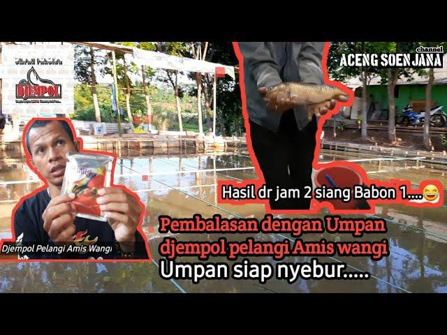 Racikan Umpan Ikan Mas Djempol Pelangi Amis Gurih || Aceng mancing chanel