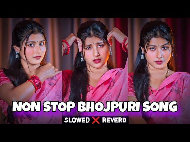 Bhojpuri slowed And reverb Songs | non stop bhojpuri song | Top 10 Bhojpuri slowed and reverb Song