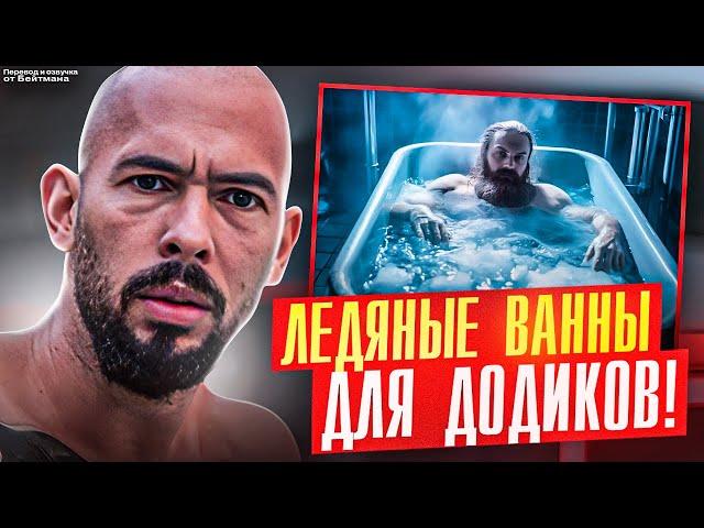 ЛЕДЯНЫЕ ВАННЫ ДЛЯ ДОДИКОВ! Эндрю Тейт - Перевод от Бейтмана