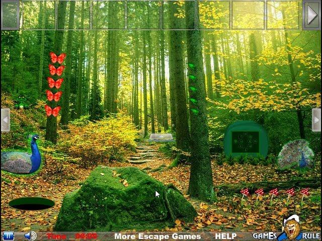 Peafowl Forest Escape Walkthrough [Games2Rule]