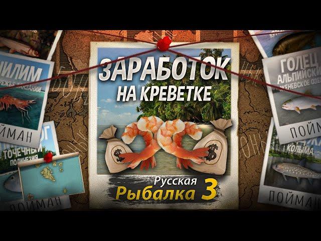 Заработок на ловле Чилима. Делаем Капитал на Креветке под Фонк с Пивом. Как Стать Миллионером в РР3.