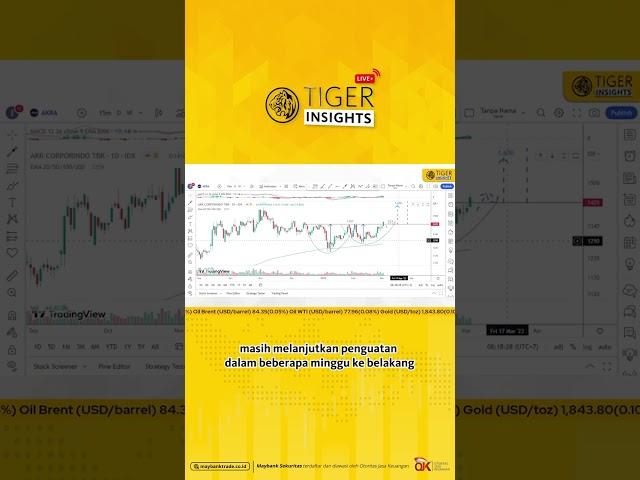 Perbankan Big Caps Januari Solid, Di Tengah Bayangan Suku Bunga The Fed #tigerinsightslive