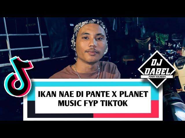 DJ IKAN NAE DI PANTE X PLANET MUSIC FYP TIKTOK - DJ DABEL (NIKKO STYLE) ️