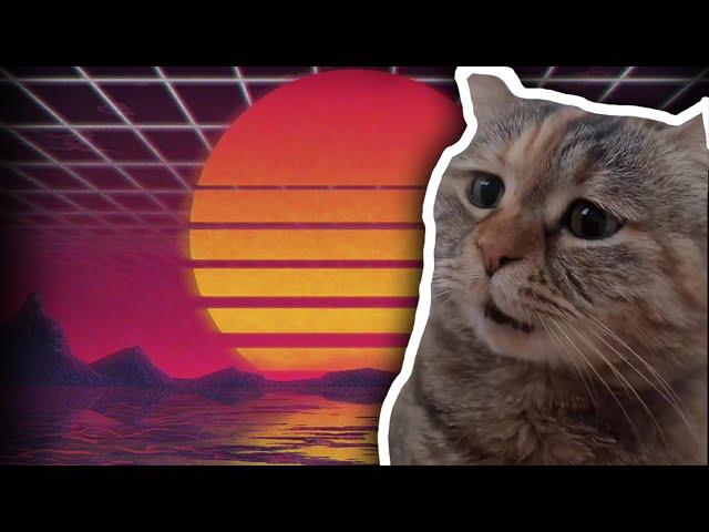 Sad Cat Meowing - Where This Meme From ?