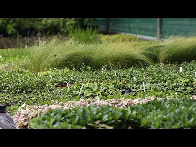 A tour of our new propagation unit