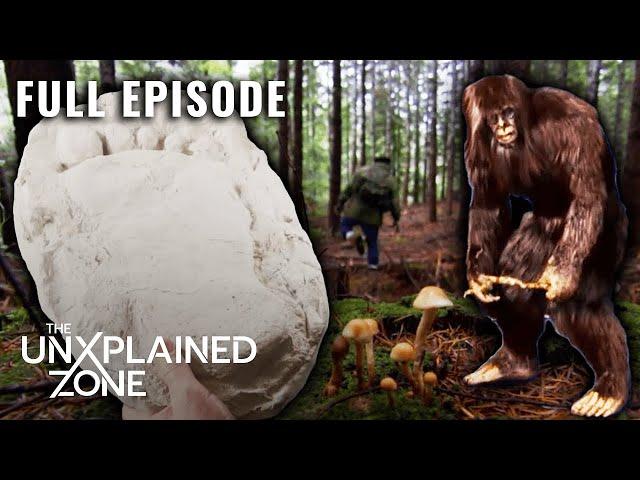 Sasquatch Evidence FOUND in Vancouver | MonsterQuest - Full Ep | The UnXplained Zone
