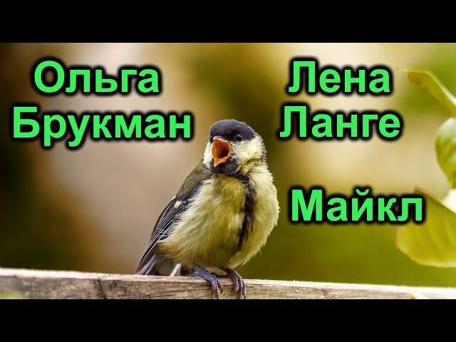 Безумная любовь Майкл Лена Ланге Ольга Брукман