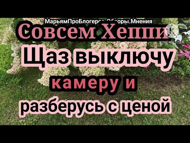 Хеппи.Видео на канале Болото Хеппи про сумочку