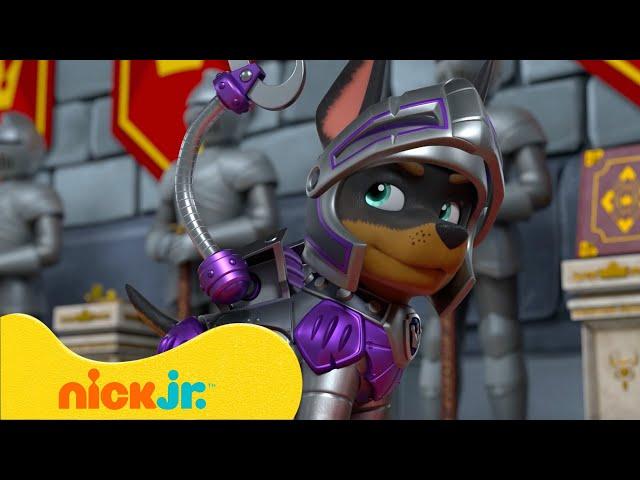 PAW Patrol Rescue Knights Battle a DRAGON!  | Nick Jr. UK