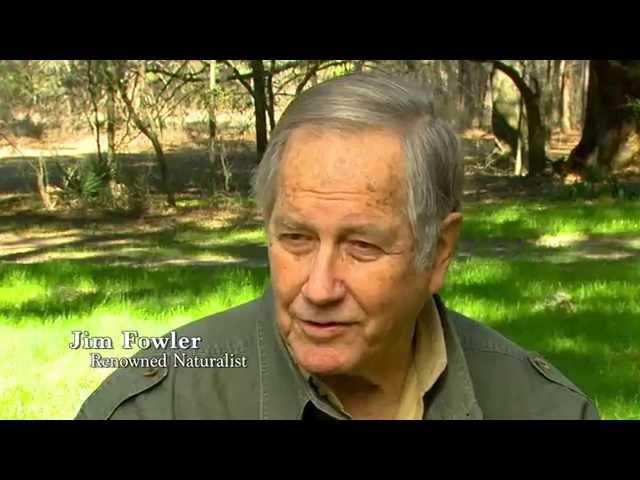 Jim Fowler - A Call to Action - Think Big/Get Wild