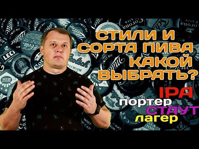 Сорта и стили пива: лагер, стаут, IPA, бланш, ламбик. Какой выбрать?