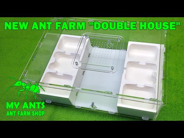 Ant Farm "Double House" (formicarium for ants/nest for ants)