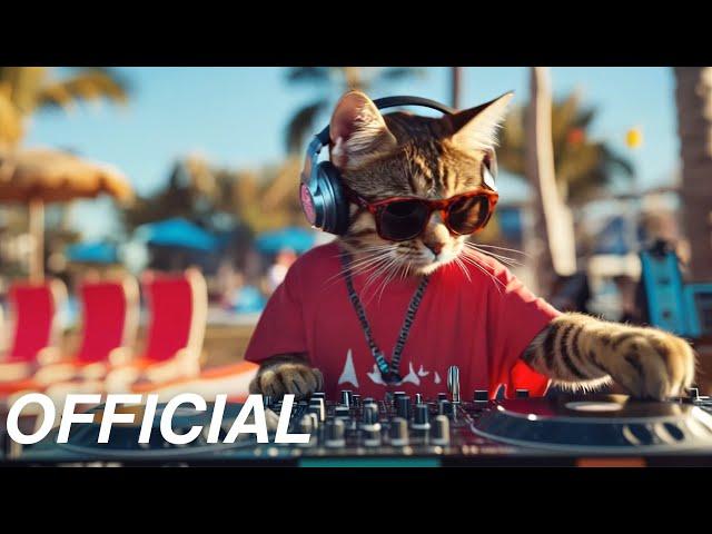 DJ MIAWW – MEOWTRONIC  [Official Music Video]