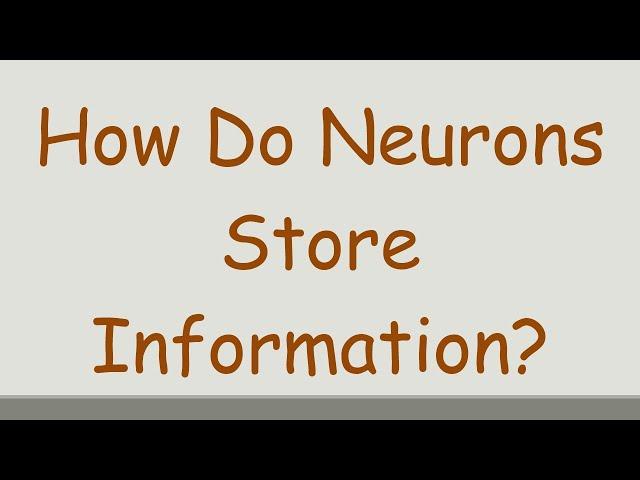 How Do Neurons Store Information?