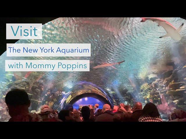 Visit the New York Aquarium with Mommy Poppins