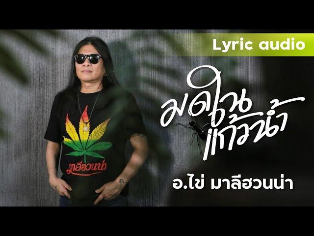 มดในแก้วน้ำ Special Single : อ.ไข่ มาลีฮวนน่า (Official Audio)