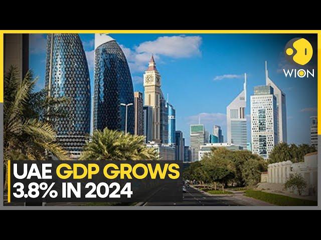 UAE: Non-Oil Sector Expands 4.5% In 2024, Driving Growth | World News | WION