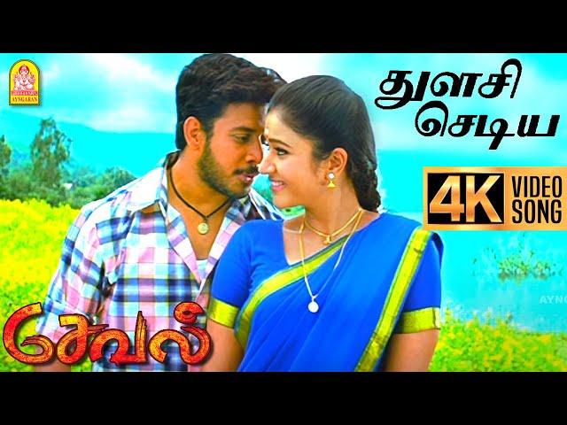 Thulasi Chediya  - 4K Video Song | துளசி செடிய | Seval | Bharath | Poonam bajwa | Hari | GV Prakash