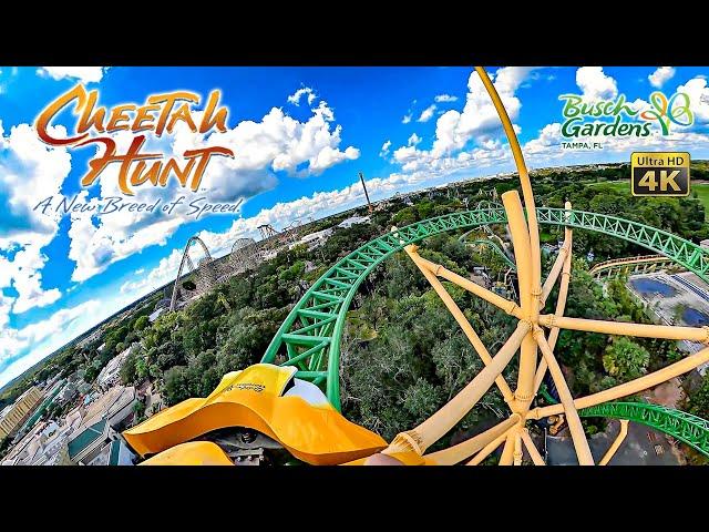 Cheetah Hunt Roller Coaster On Ride Front Seat 4K POV Busch Gardens Tampa 2024 09 30