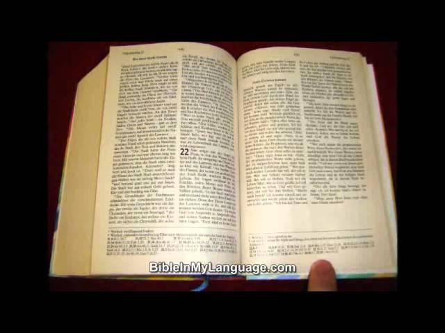 German Bible 4 U (for Young Students) / Hoffnung fur alle / Die Bibel