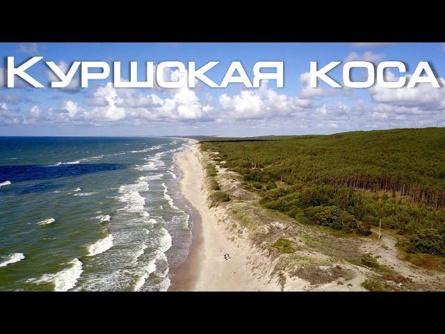 Куршская коса. Калининградская область | Вид с высоты птичьего полёта |  DJI Mavic Pro