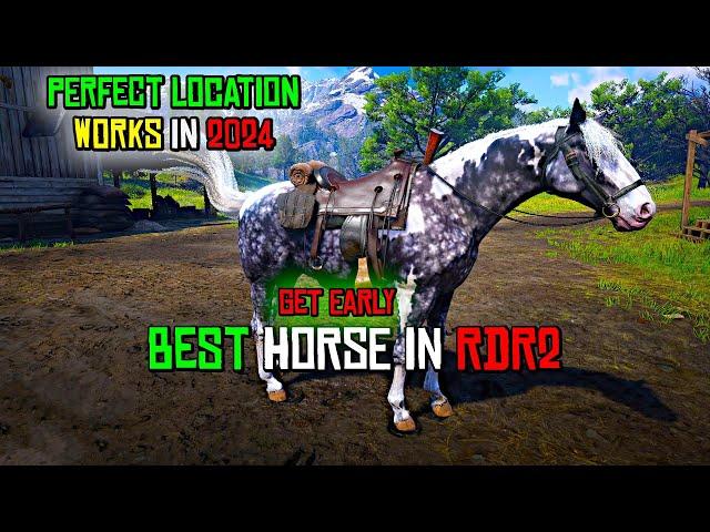 RDR2 - Get The Best & Fastest Missouri Fox Trotter Horse Easily & Early in Chapter 2 before GTA 6