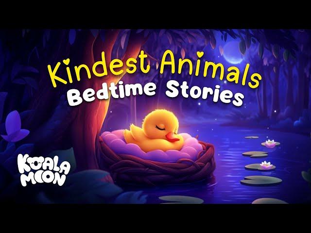 Award Winning Kids Bedtime Stories  Kindest Animals Collection | Children’s Bedtime Stories