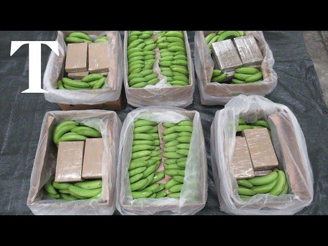 Biggest class A drug seizure in the UK found in banana cargo