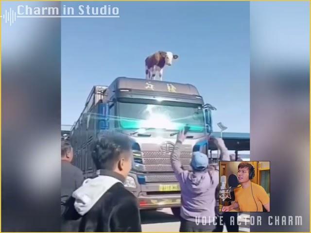 ဝုတ်တယ်