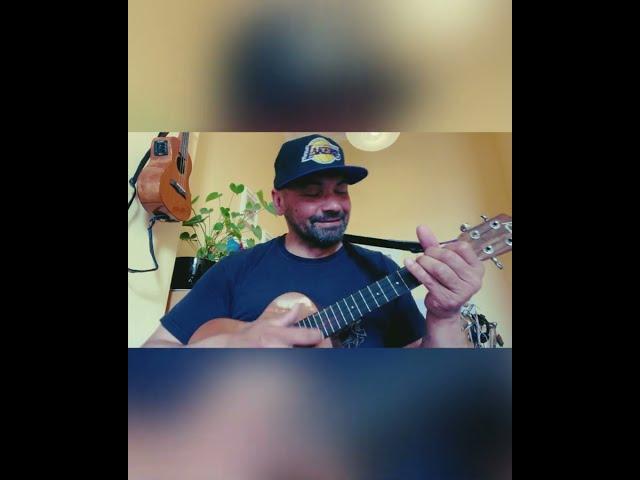 Fly Away (Lenny Kravitz ukulele cover)