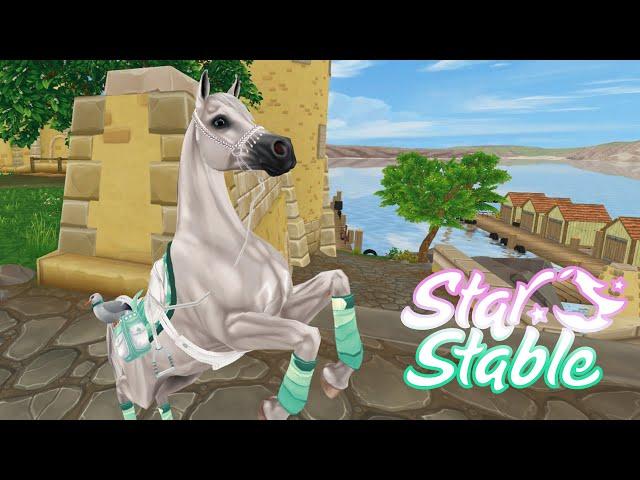 Покупаю нового АРАБА  Star Stable Online