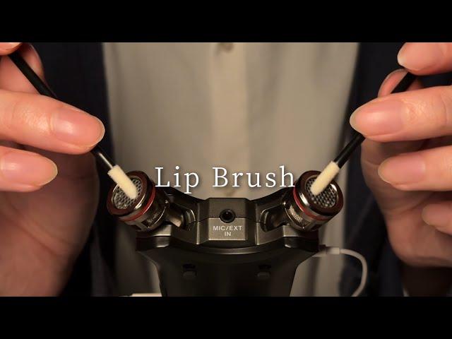 ASMR Gently Scratching the Mic with a Lip Brush | TASCAM (No Talking)