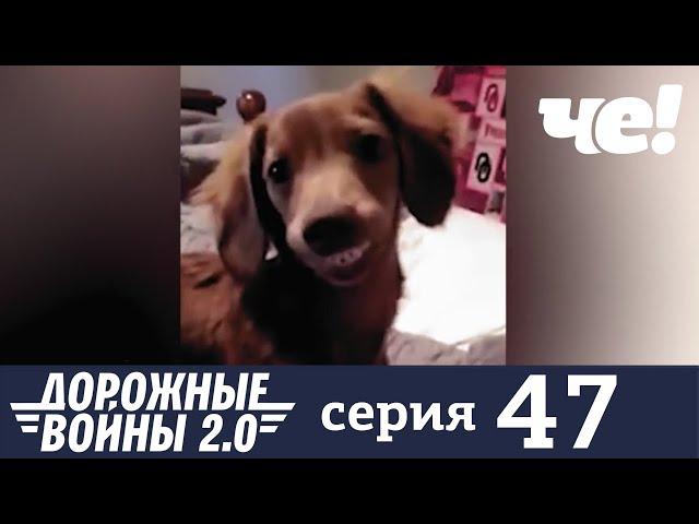 Дорожные войны | Сезон 7 | Выпуск 47