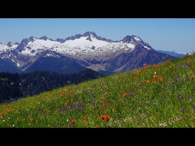 Ridge Rambling (Day Hiking in Washington)