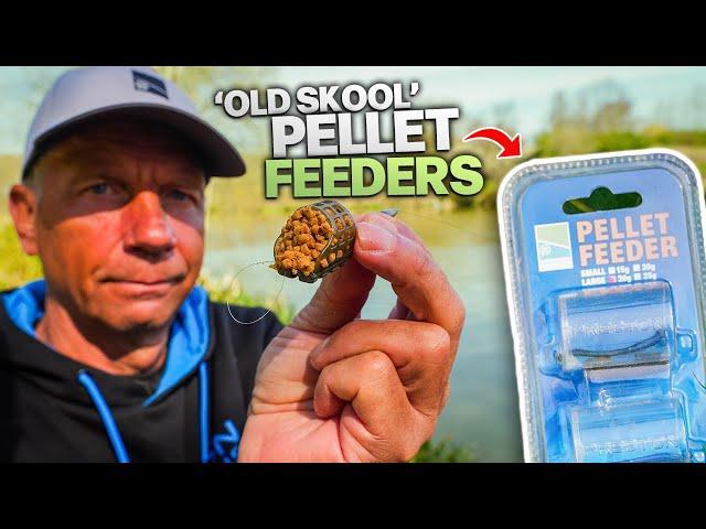 This BLEW My Mind!  — How One Feeder Changed Everything!